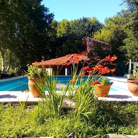 Cabanas Los Platanos La Granja Kültér fotó
