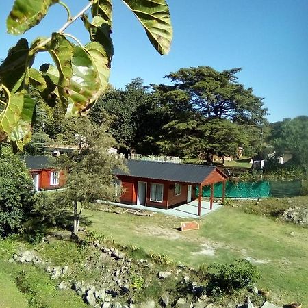 Cabanas Los Platanos La Granja Kültér fotó