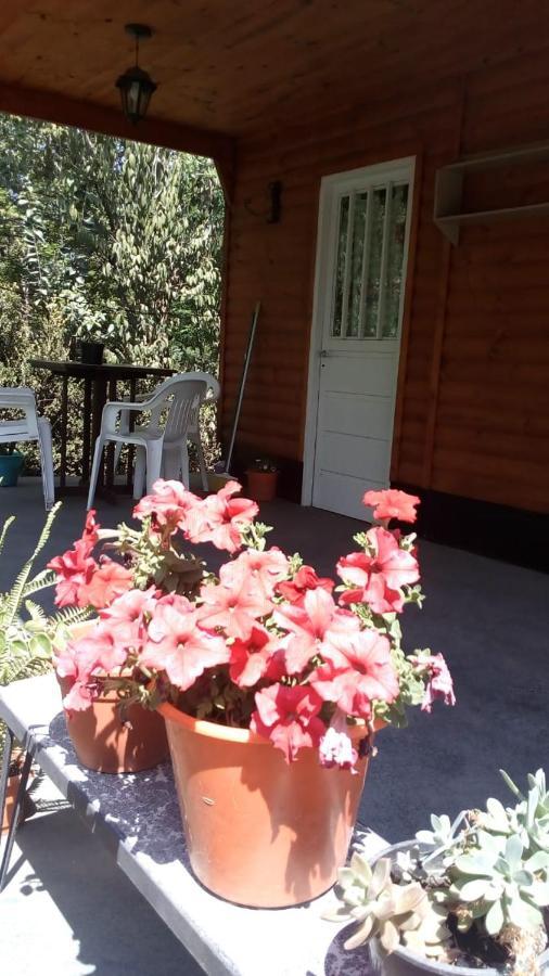 Cabanas Los Platanos La Granja Kültér fotó